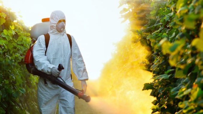 iStock_17721088_XLARGE-775x585