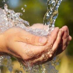 24891757_1645733128802885_1678285247_n