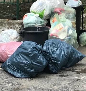 25360684_10214975576572199_990923995_n