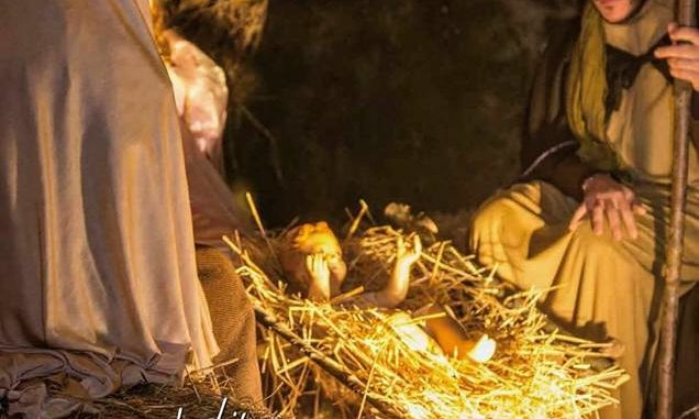 26055601_1757348631005514_4106079637844738655_n