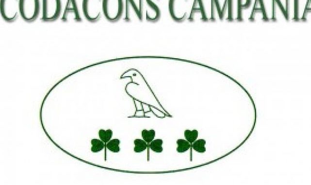 19092014_codacons_03