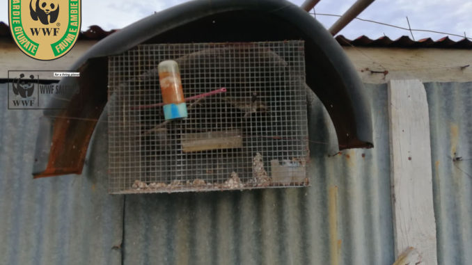 wwf_guardie_7_1_18_3