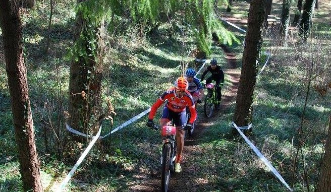 16903588_1628416747185127_3830604801124310180_o