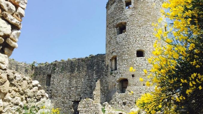 1908092_899759466729796_6594656799312737832_n