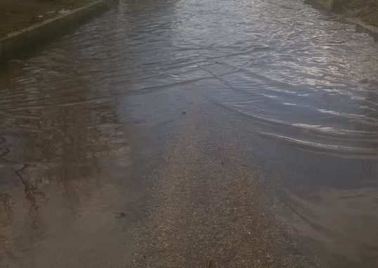 27717984_324103338096945_1512642619_n