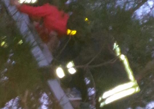 27938872_183367918930441_355865146_n