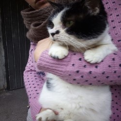 WhatsApp Image 2018-02-19 at 12.09.00 (1)