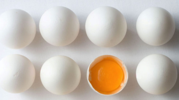 uova-paolo-parisi-d2f