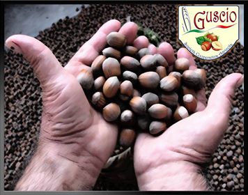 17270703_10206205843624221_1397240816_n