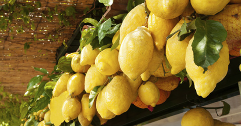 28204379_23842730482850582_7372909519384346624_n