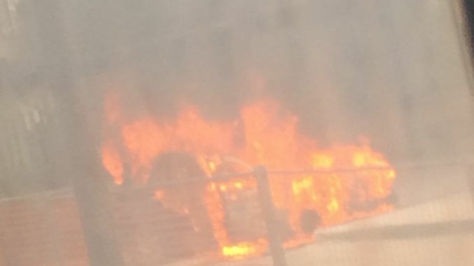 29134483_1311357582297468_1433617472_n