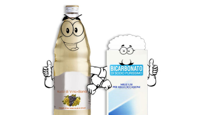 2Copertina_sgrassatore-naturale