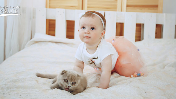 allergia-non-scacciare-il-micio