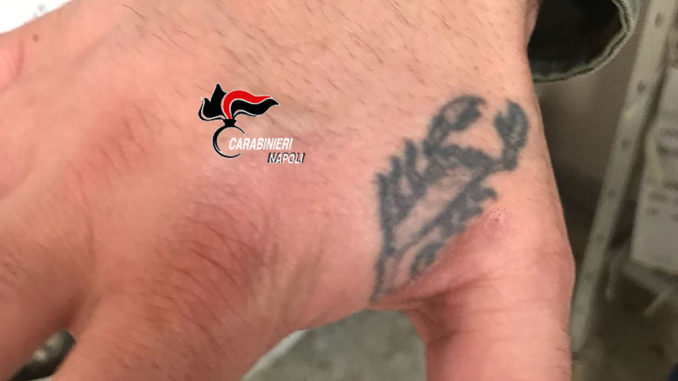 rapinatore tatuato