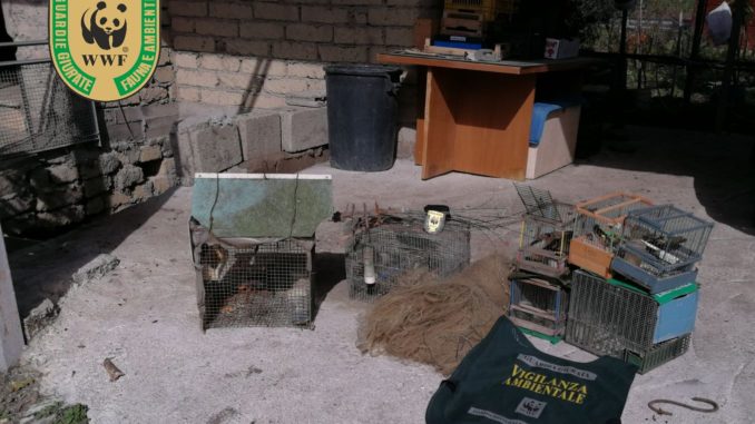 wwf_guardie_3_12_3_18