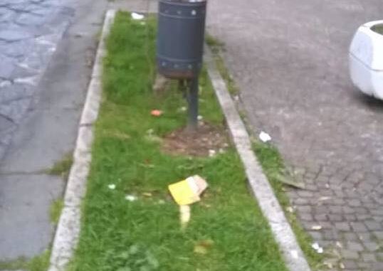 30020325_1767567393286124_911378594_n