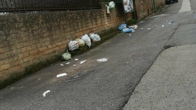 30118690_1907762759446096_2081380628_n