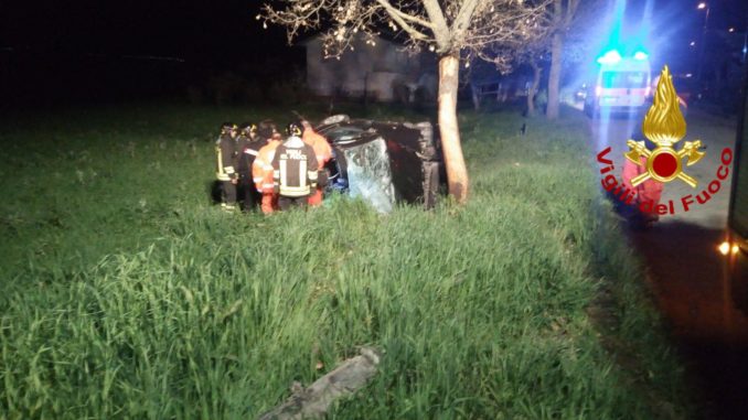 30728463_1779365922106271_3872423933768630272_n