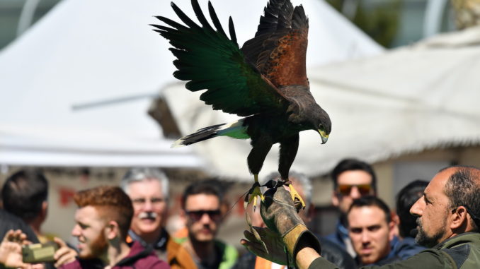 Hunting Show Sud 2018, il salone della caccia, del tiro sportivo e della cinofilia venatoria.