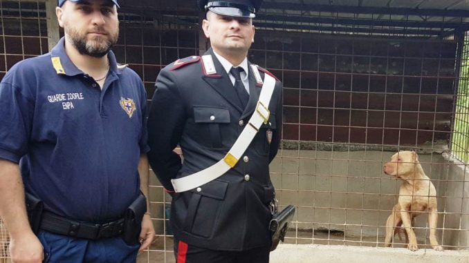 02.05.2018 - CANI MALTRATTATI NOLA FORESTALE