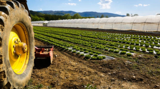 1516626541265.jpg--agricoltura