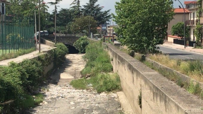 32202875_10210868750906107_7315331875008937984_n