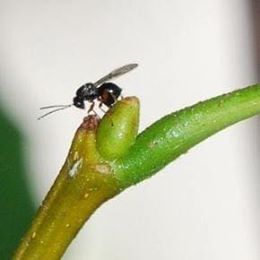 32840690_1811163432259853_9086125712666001408_n