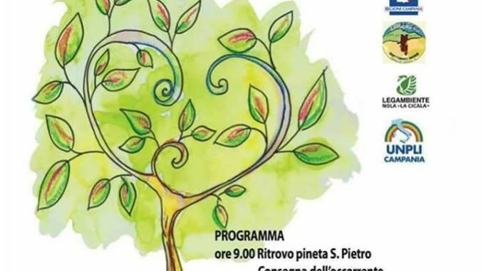 33576408_10213906795836485_2581946403471228928_n