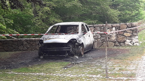 3709656_20180504_125202