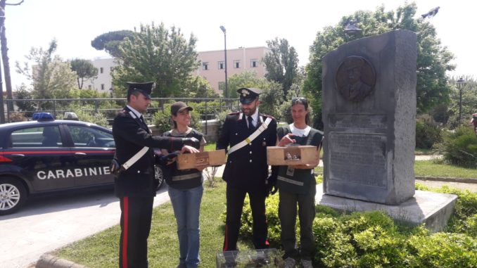 WhatsApp Image 2018-05-11 at 14.41.44