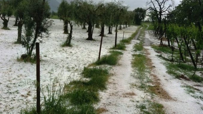 grandinata sannio (4)