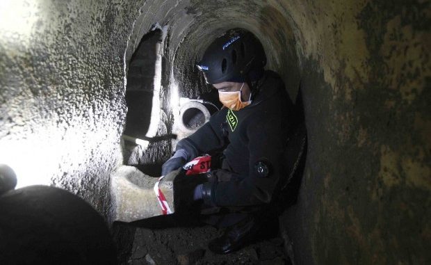 202505786-1c5b7d86-cabd-42eb-bbce-46c08bd6dba0