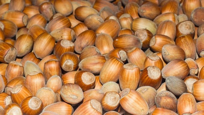 hazelnuts-1095170_960_720