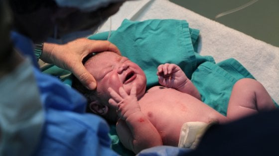 165324886-474f88bc-bf5a-4bf9-afed-5c5feecaacbb