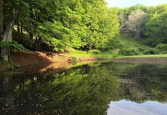 36573667_645209425837428_1308369273130844160_n