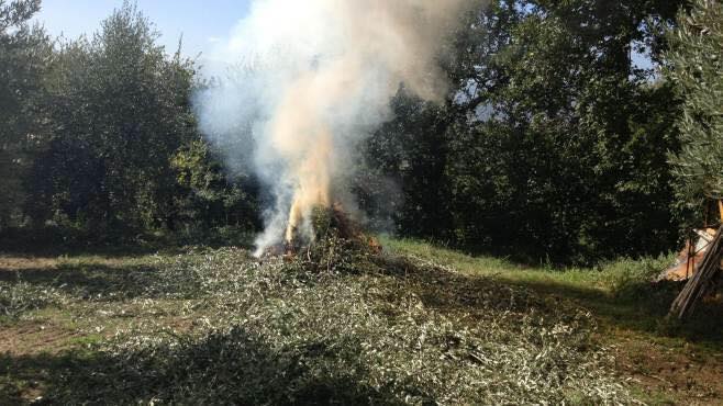 36732102_10216673109009449_1484346916610244608_n