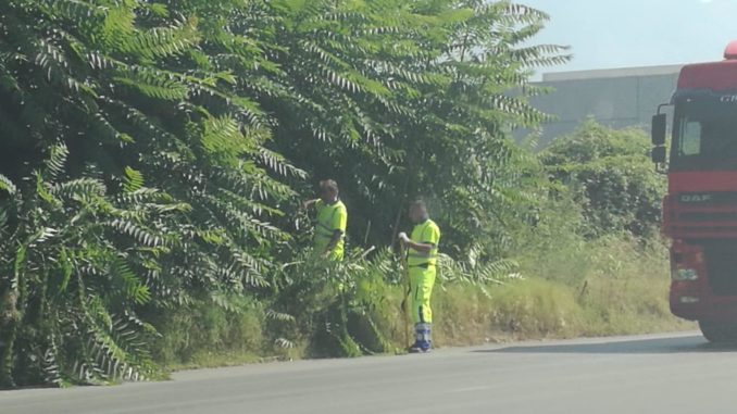 36971773_1881713425204853_4743983243211046912_n