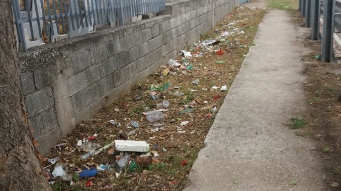 37245002_1995261403837479_6963354228450394112_n