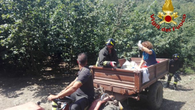 37711353_10216805260033142_1830019147451334656_n