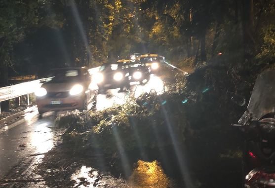 86f30ce0-05a4-4853-9d9c-2b374f5cbdf9_16230930.jpg.pagespeed.ce.HhmmQjVzgV