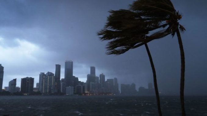 cq5dam.web.738.462 (3)