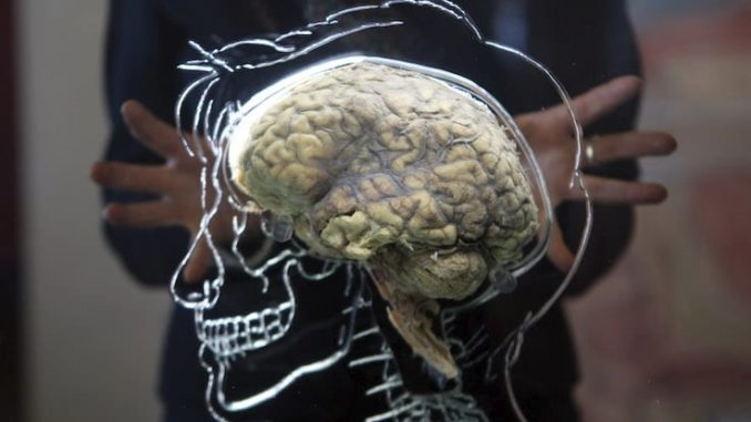 cq5dam.web.738.462 (5)