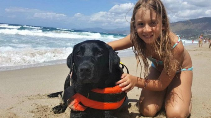il-cane-Lux-salva-una-bambina-a-Palinuro