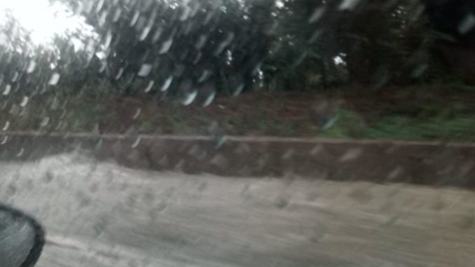 38421290_2115554855369495_468364538656325632_n