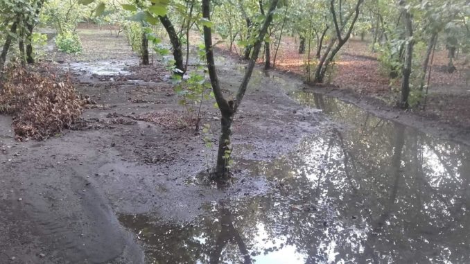 39775429_659458901093484_6922183152987275264_n