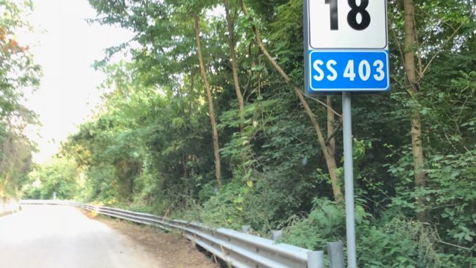 WhatsApp Image 2018-08-10 at 09.12.42(3)