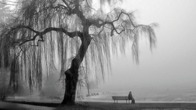 arte_di_conoscere_se_stessi_solitudine_Schopenhauer-700x400