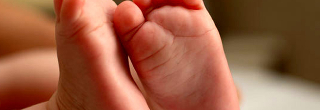 3958405_1033_neonata_morta_alessandria