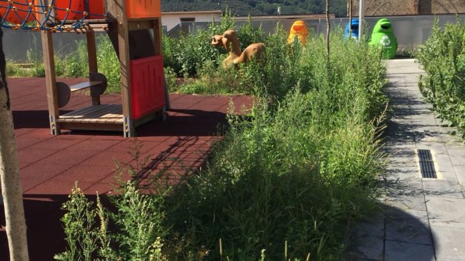 WhatsApp Image 2018-09-08 at 16.44.17