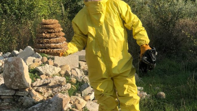 WhatsApp Image 2018-09-17 at 19.27.40